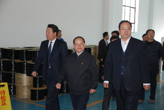 6t����(6TSPORTS)�����Źɷݹ�˾