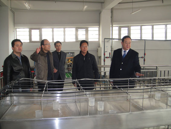 6t����(6TSPORTS)�����Źɷݹ�˾