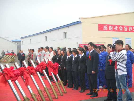 6t����(6TSPORTS)�����Źɷݹ�˾