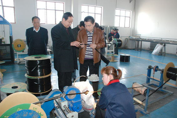 6t����(6TSPORTS)�����Źɷݹ�˾