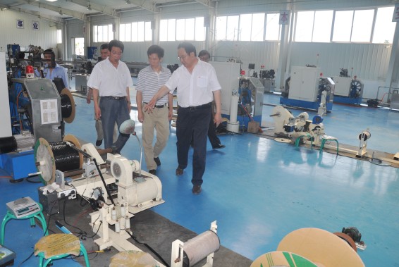 6t体育(6TSPORTS)·集团股份公司