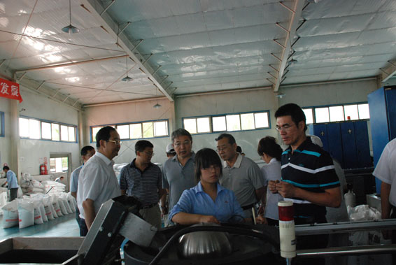 6t体育(6TSPORTS)·集团股份公司