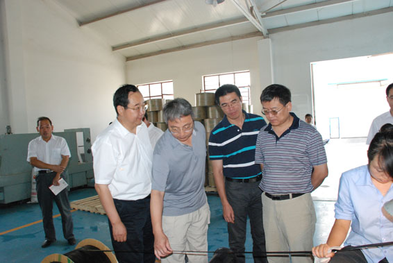 6t体育(6TSPORTS)·集团股份公司