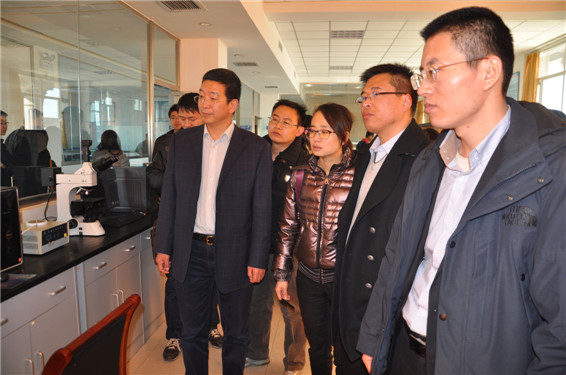 6t体育(6TSPORTS)·集团股份公司