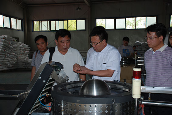 6t体育(6TSPORTS)·集团股份公司