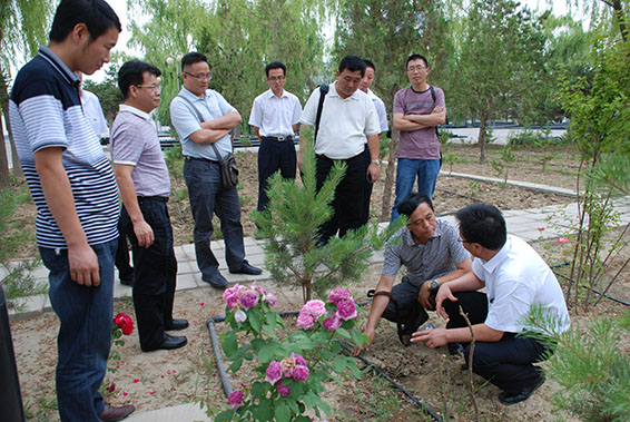 6t体育(6TSPORTS)·集团股份公司