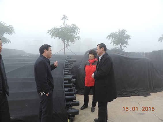 6t体育(6TSPORTS)·集团股份公司