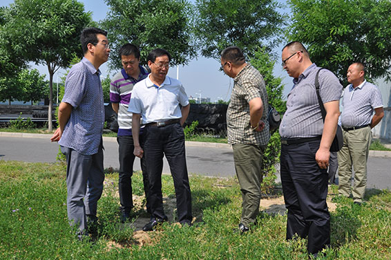 6t体育(6TSPORTS)·集团股份公司