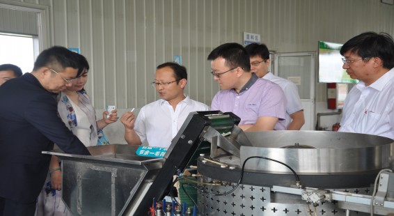 6t体育(6TSPORTS)·集团股份公司