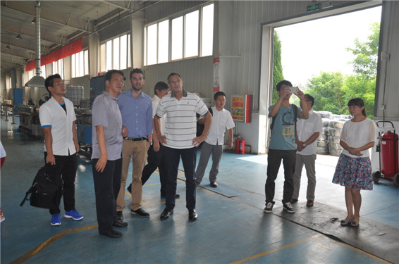 6t体育(6TSPORTS)·集团股份公司