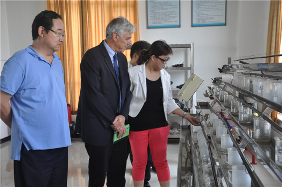 6t体育(6TSPORTS)·集团股份公司