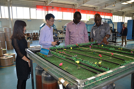 6t体育(6TSPORTS)·集团股份公司