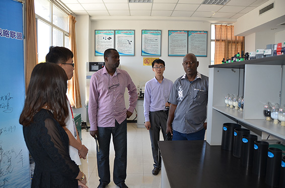 6t体育(6TSPORTS)·集团股份公司