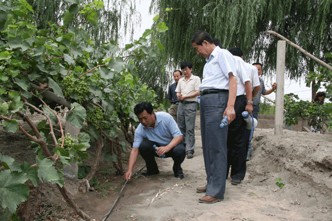 6t����(6TSPORTS)�����Źɷݹ�˾