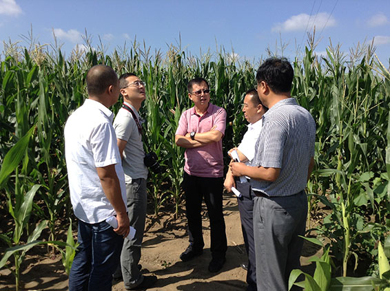 6t����(6TSPORTS)�����Źɷݹ�˾