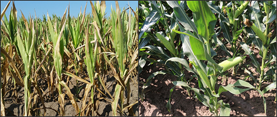 6t����(6TSPORTS)�����Źɷݹ�˾