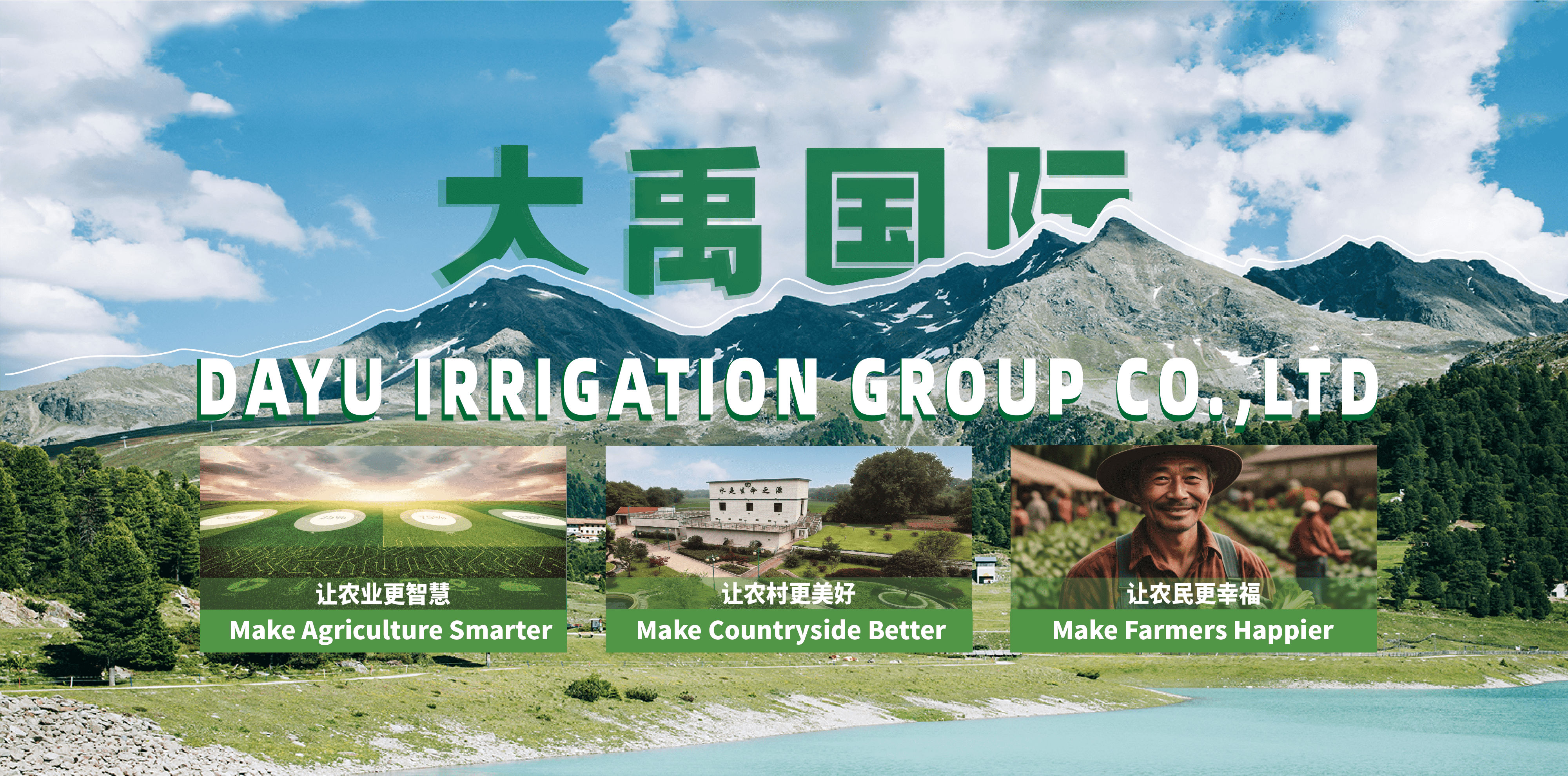 6t��������