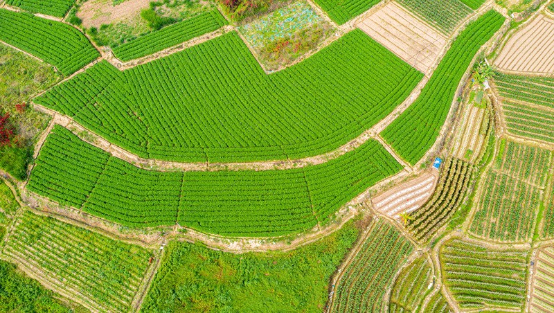 ����ʡ�ֳ��ع�·��2024��߱�׼ũ�ｨ����Ŀ