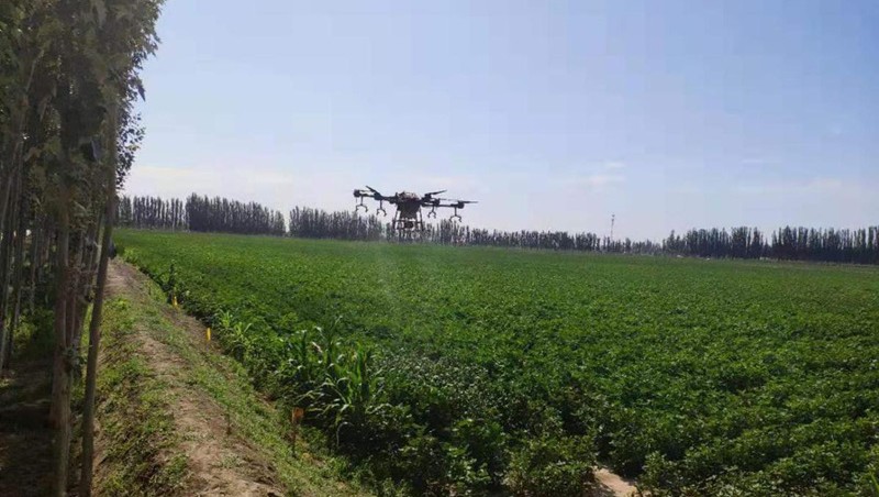 �Ͻ�����ɳ����μ�ɺӹ���ũҵ��Ч��ˮ�����Ե���Ŀ