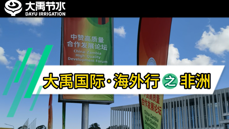 6t�������ʡ�������֮����