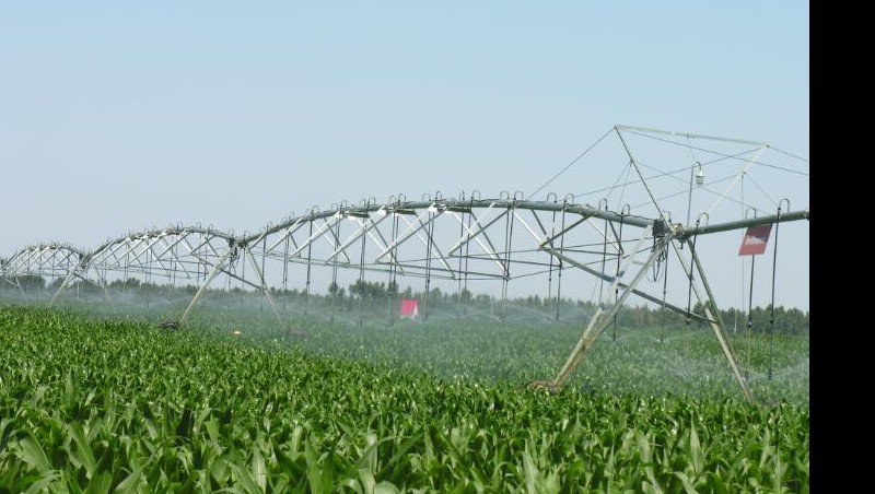 �����㶨ǧĶ����Ľ�����