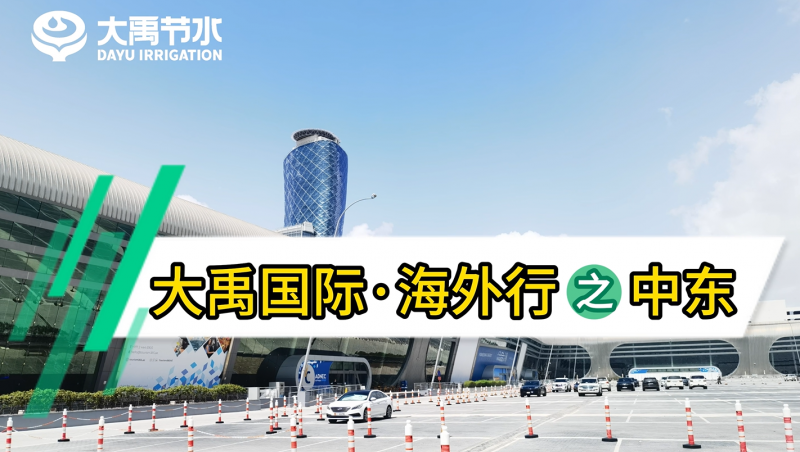 6t�������ʡ�������֮�ж�