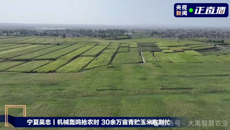 ��ý��۽���6t������ˮ���ǻ�ũҵ������Ϊ 30 ��Ķ�������׷��� ����������